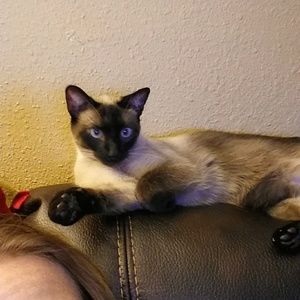 Meet your Posher, Christi